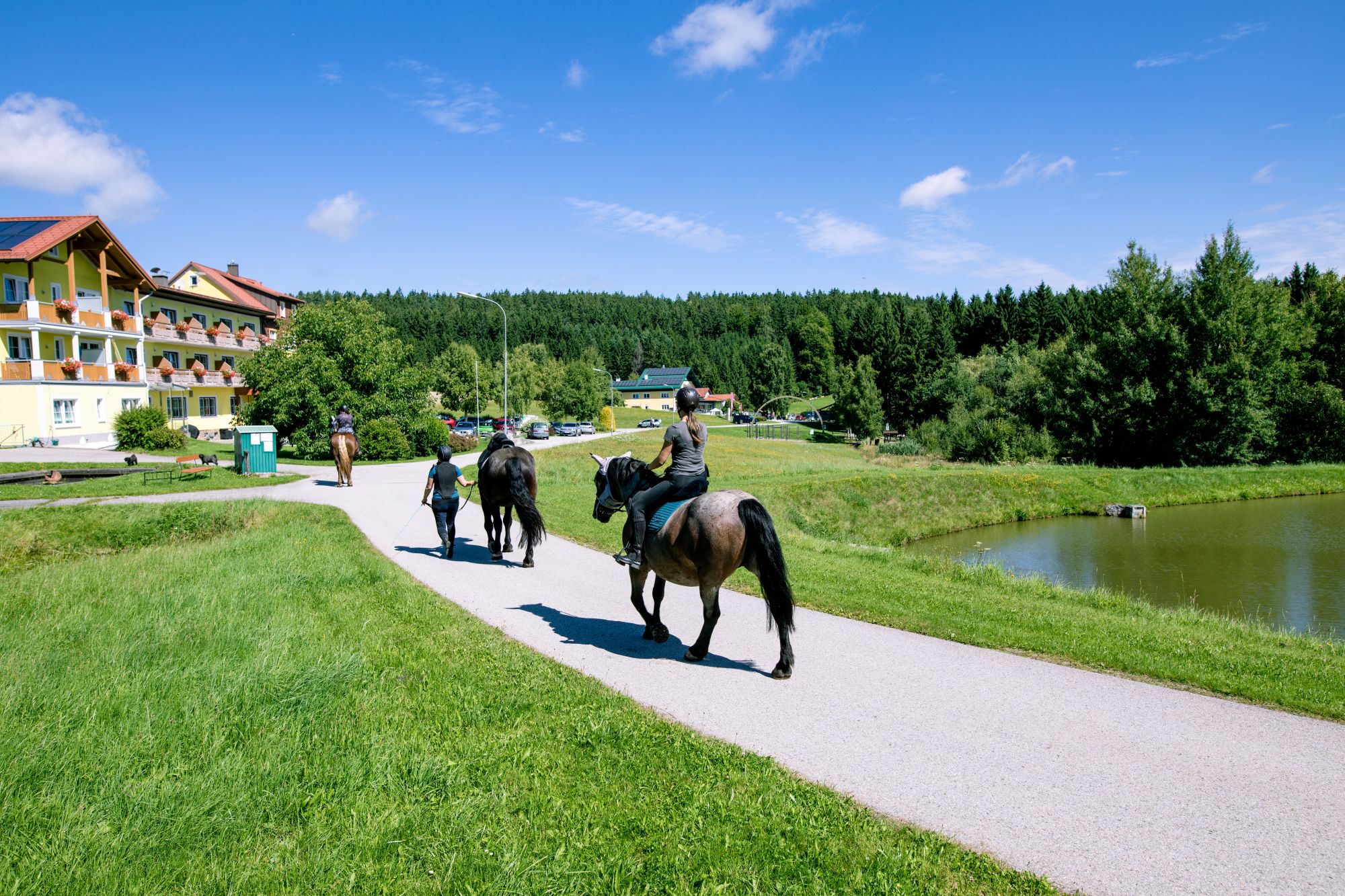 Bild vom Reiten